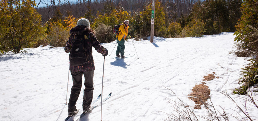 two people skiing downhill in the snow