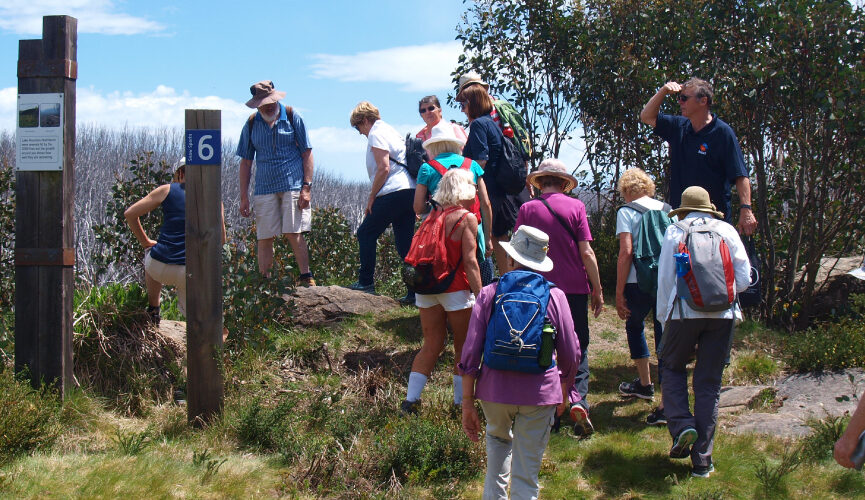 LKMT0041_Lake Mountain_Wild Flower Walk_WebsiteTile a group of people walking up the mountain outside during summer