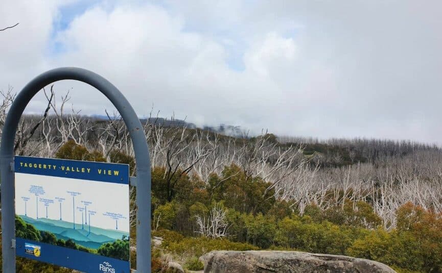 Taggerty Valley View