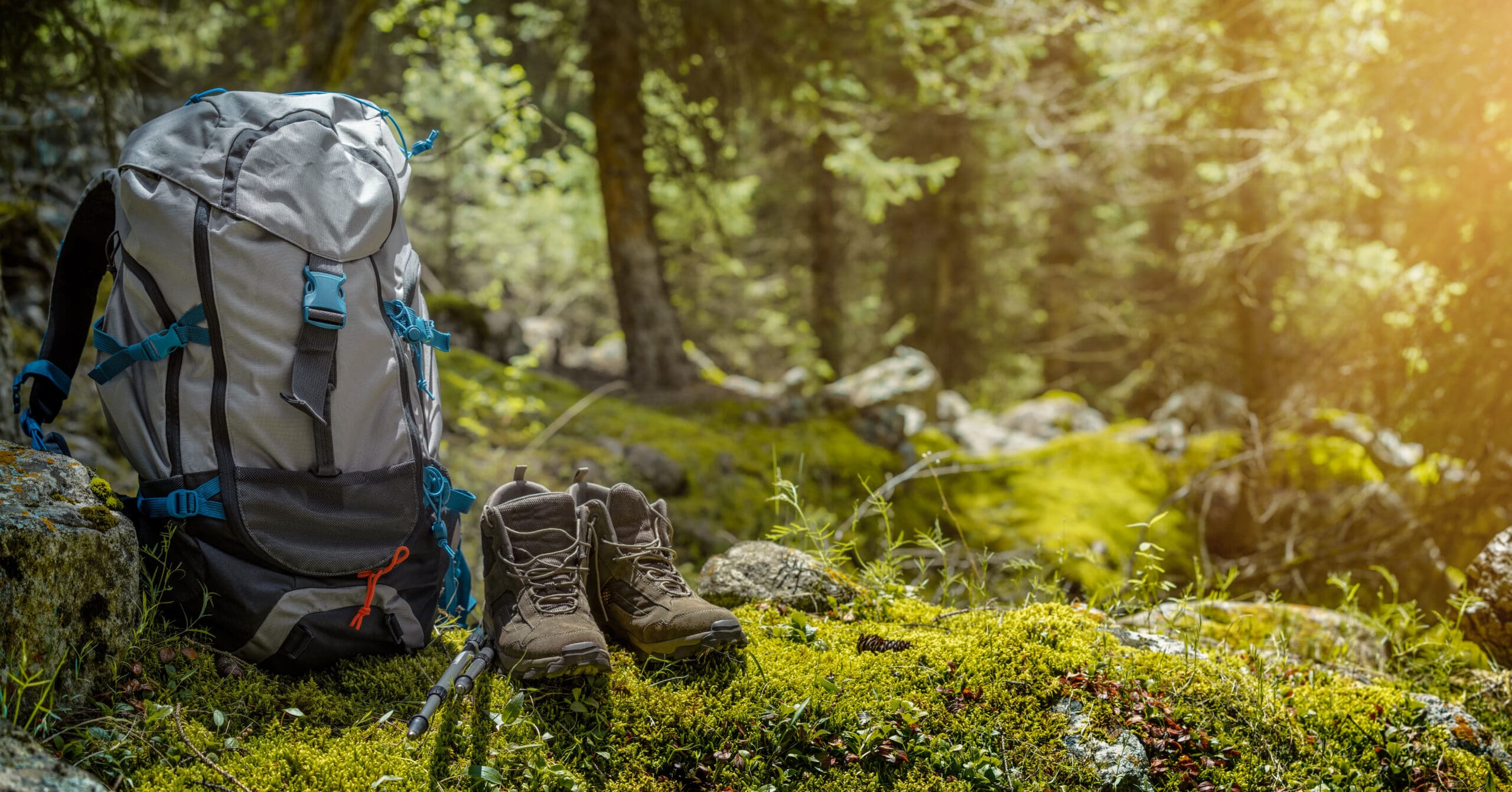 Backpack,And,Hiking,Boots,In,Forest Backpack and hiking boots in forest