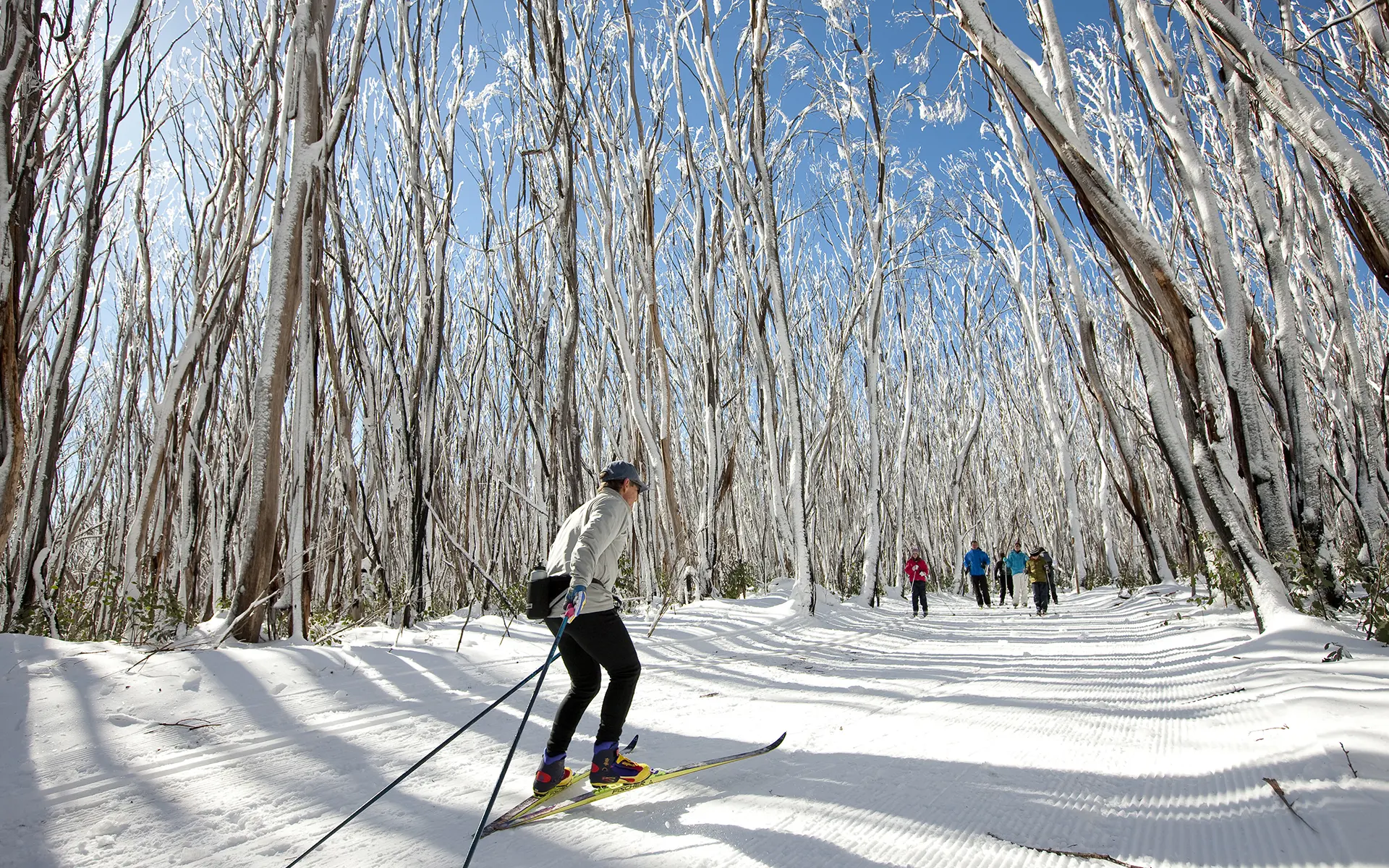 Paranomic view of person cross-country skiing