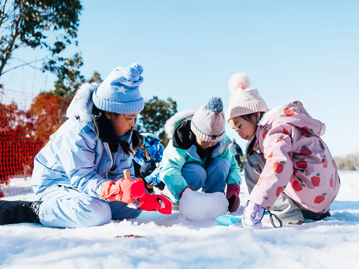 Card Snowplay