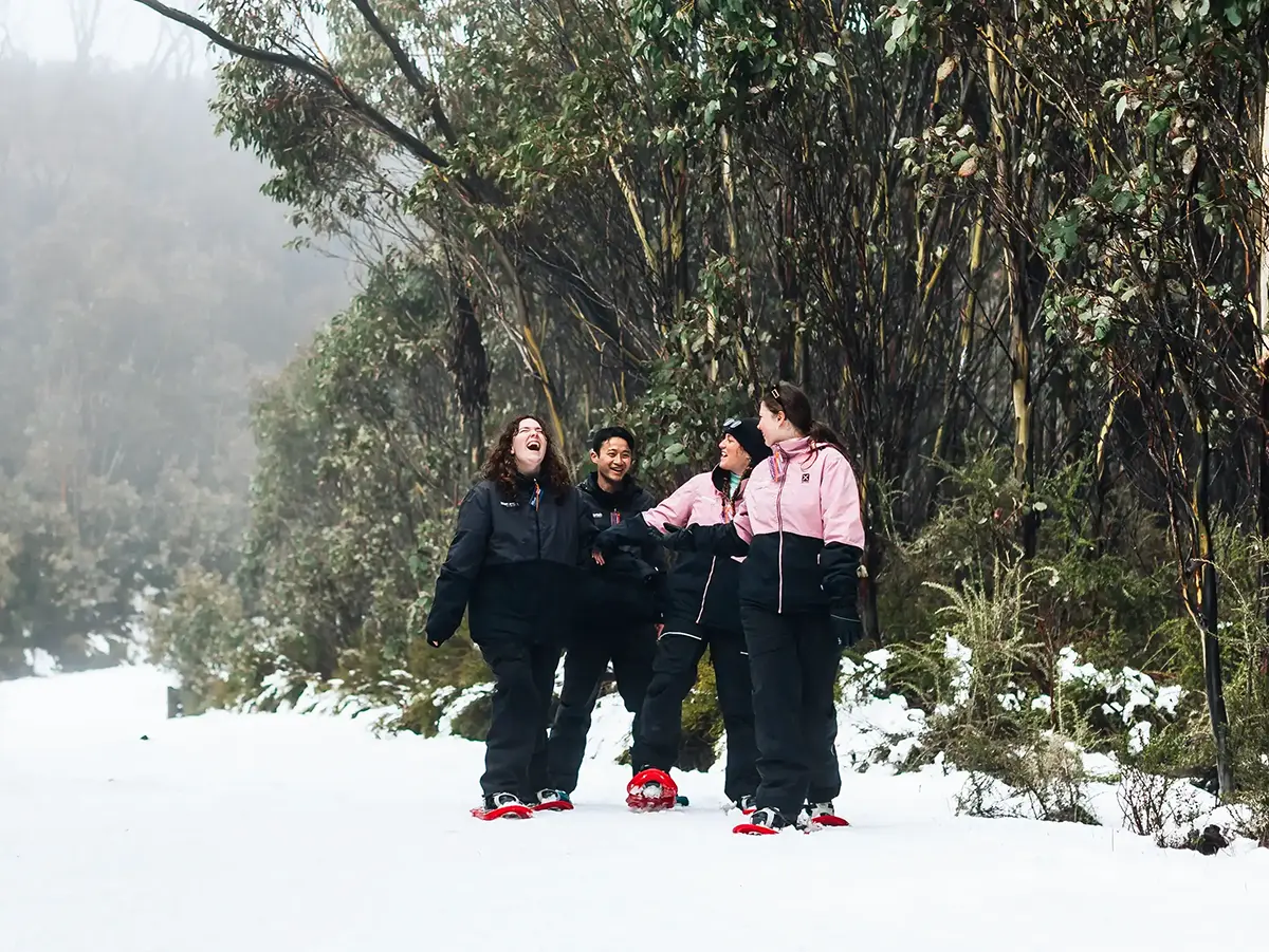 Card Snowshoeing