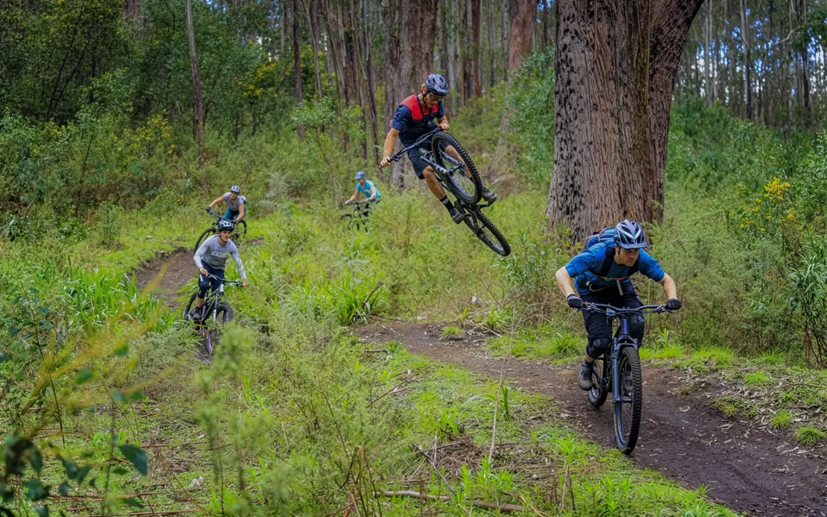 Five people ride mountain bikes on a forest trail; one mountain bike rider is airborne, performing a jump, while others cycle below, all surrounded by dense trees and lush greenery.