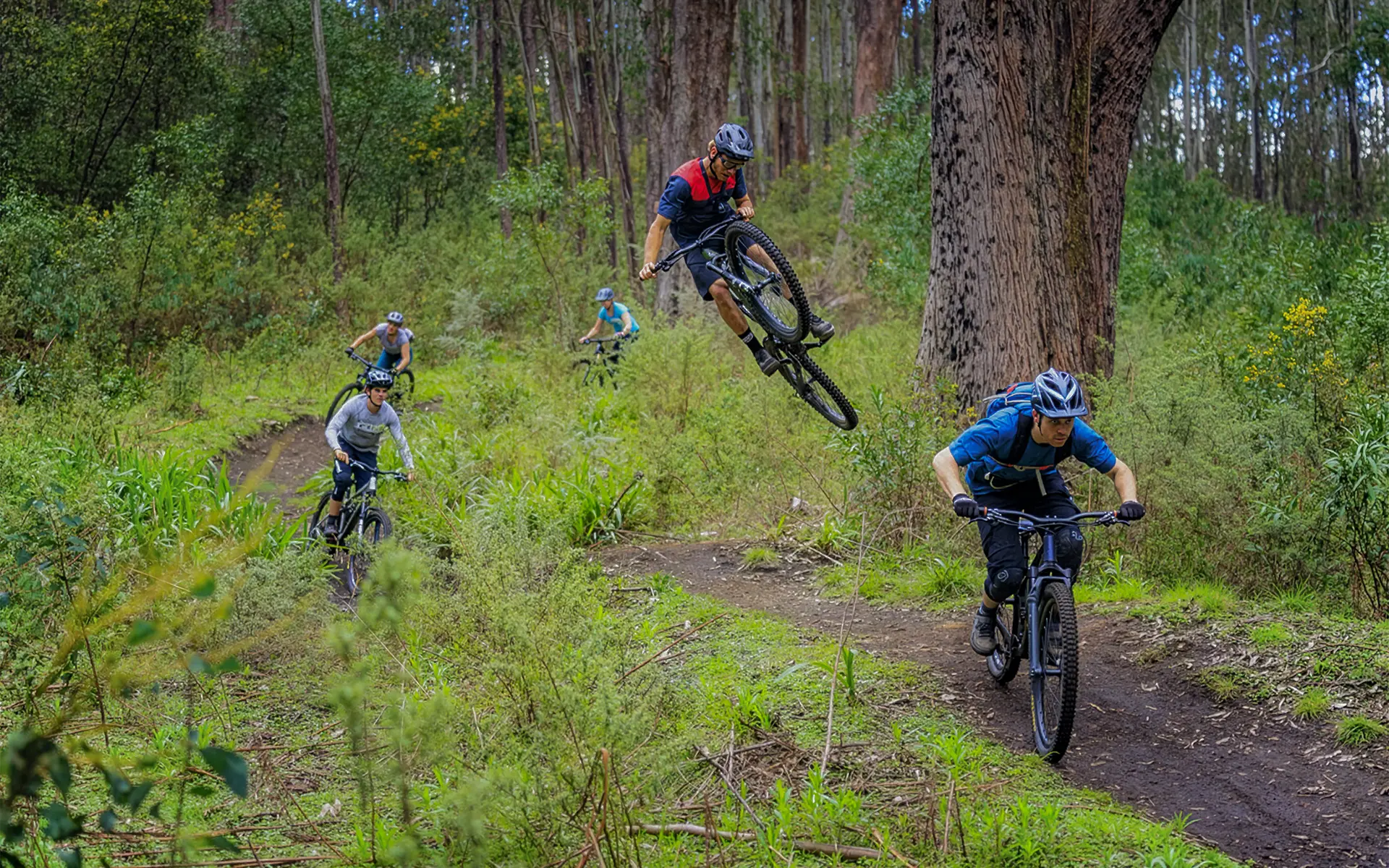 Mtb 1