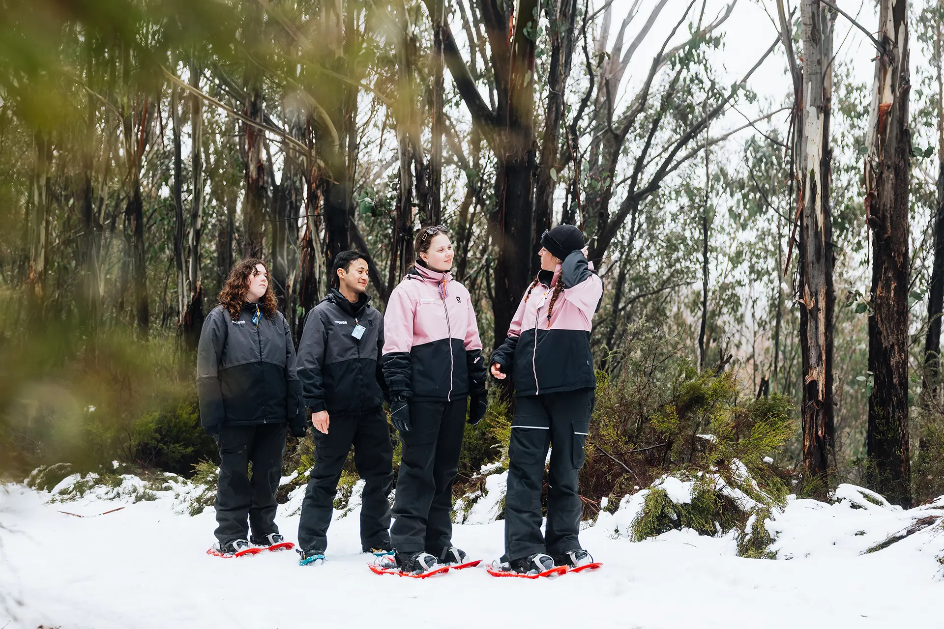 Snowshoeing 1