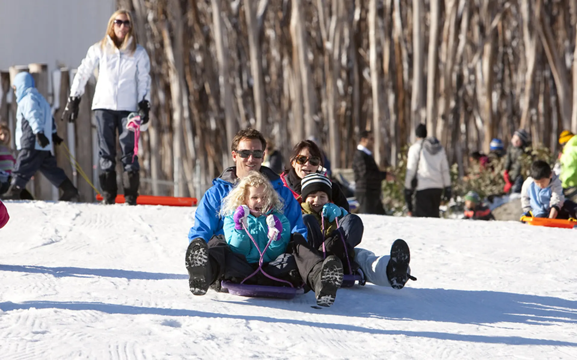 Toboggan Run 3