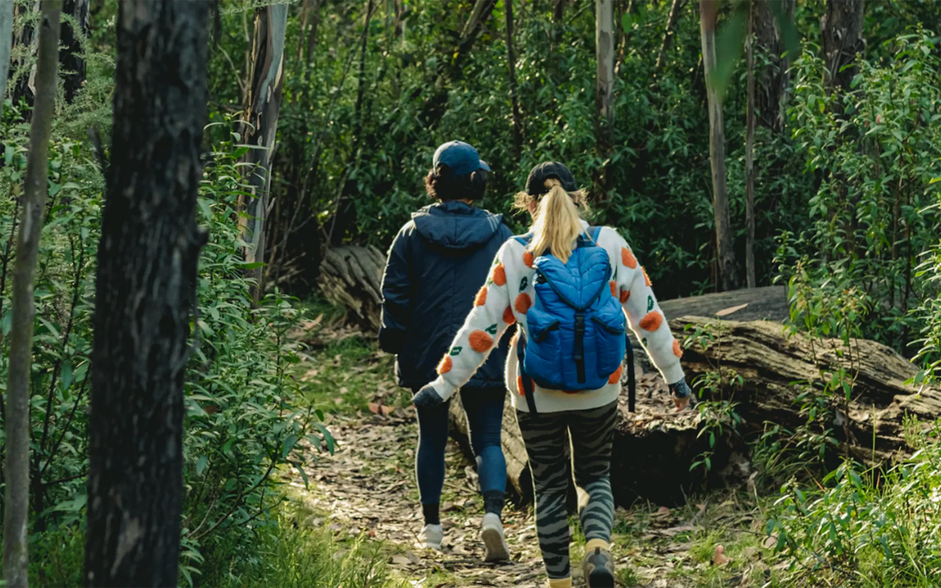 Bushwalk 1