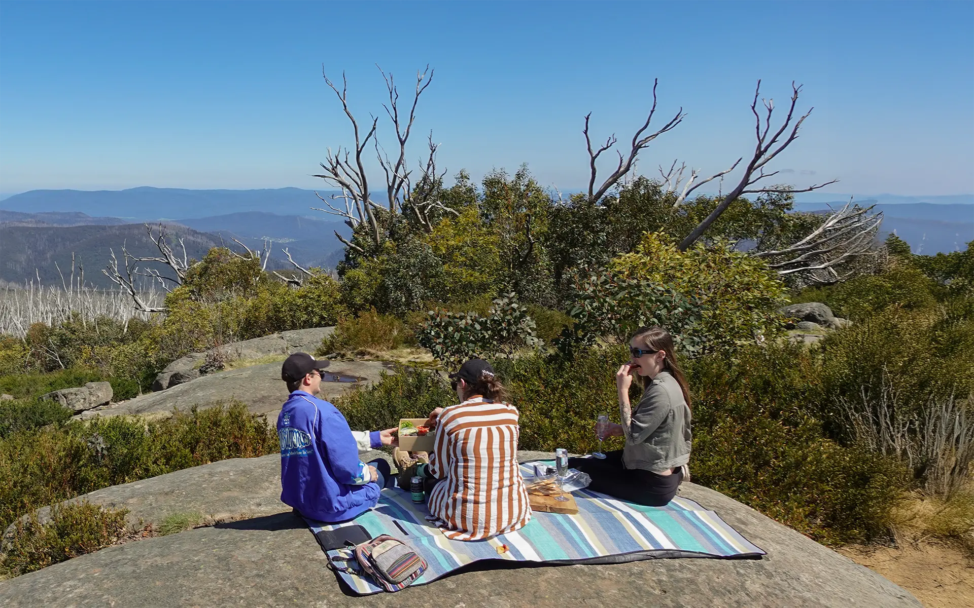 Bushwalk 3